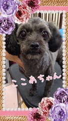 カメラ目線で♪