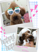 HAPPY BIRTHDAY!