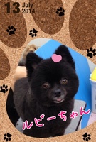 ローズパックでいい香り♪