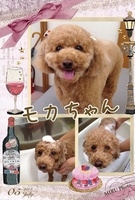 可愛く変身☆