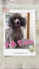 HAPPY BIRTHDAY!