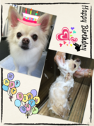 HAPPY BIRTHDAY!