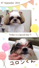 HAPPY BIRTHDAY!
