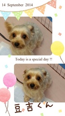 HAPPY BIRTHDAY!