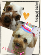 HAPPY BIRTHDAY!