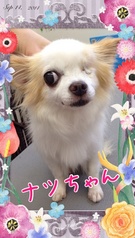 「抱っこ~抱っこ~」