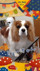 さらさらヘア♪