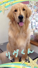 賢さ満点!