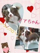 素敵なウインク♪