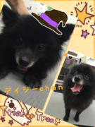 スタッフもメロメロ~♪