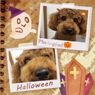 ハロウィンのリボンがお似合い♪