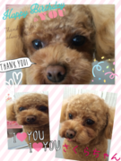 HAPPY BIRTHDAY!