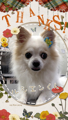 ふわふわ~♪