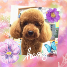 イメージチェンジ♪