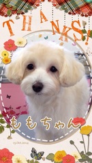 やんちゃなの?