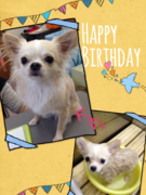 HAPPY BIRTHDAY!
