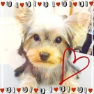 NEWフェイス♪