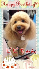HAPPY BIRTHDAY!