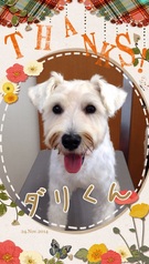 ぐっすり眠って・・・♪