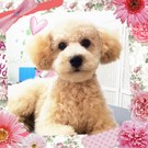 愛情たっぷり幸せいっぱい♪