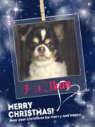 仰向けで可愛いポーズ♪