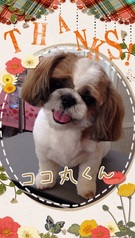 決めポーズ♪