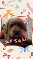 個性的なMIX♪