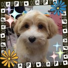 愛情たっぷり幸せいっぱい♪