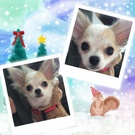 可愛いすぎ~~♪♪