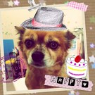 HAPPY BIRTHDAY!