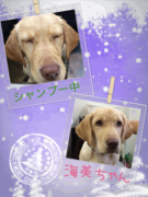 ローズパックでツヤ☆ピカ☆