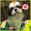 みんなメロメロ~♪