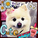 優しい女の子♪