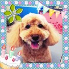 HAPPY BIRTHDAY!