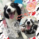 ステキな笑顔♪
