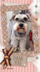 チャームポイント♪