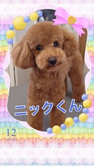 ハイテンション!