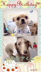 HAPPY BIRTHDAY!