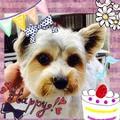 HAPPY BIRTHDAY!