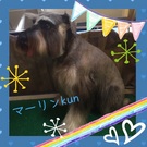 とっても賢い~☆
