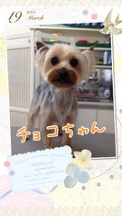 まん丸なお顔♪