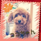ふわふわ~♪