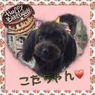 HAPPY BIRTHDAY!