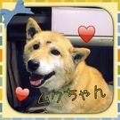 シャンプー気持ちいいよ~♪