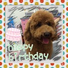 HAPPY BIRTHDAY!