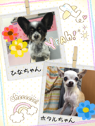 癒しコンビ♪