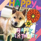 HAPPY BIRTHDAY!