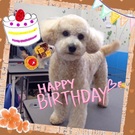 HAPPY BIRTHDAY!