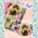 HAPPY BIRTHDAY!