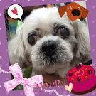 HAPPY BIRTHDAY!